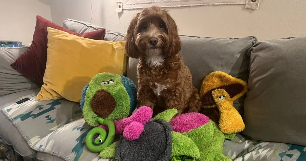 Cycle Dog のアボカドやキノコのぬいぐるみと、ソファに座るオリーブ